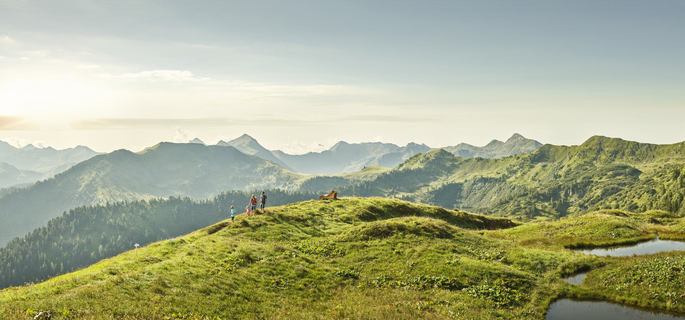 Riesneralm © TVB Schladming-Dachstein _ Peter Burgstaller