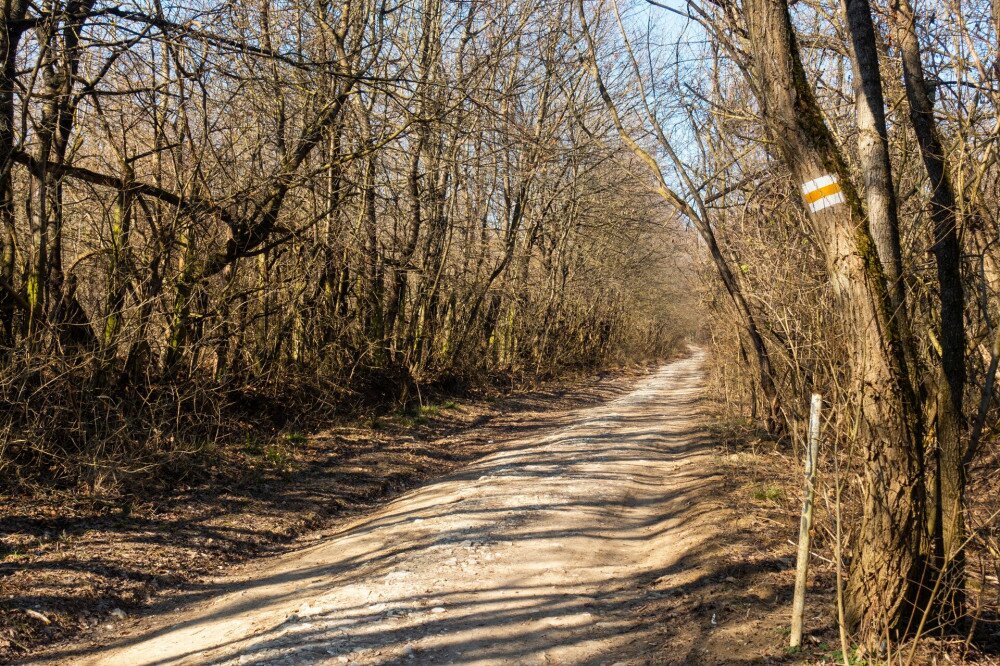 Sárga turistaút Nagykovácsi mellett