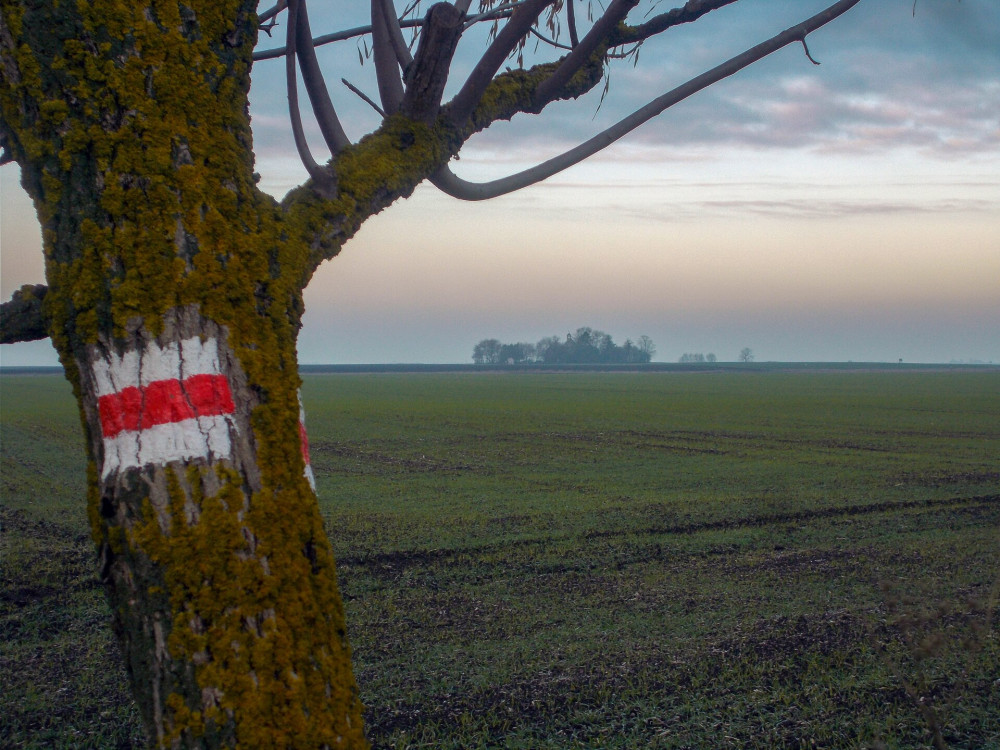 sháti Piros túra jelzései mellett a távolban feltűnik a templomot ölelő kis erdőfolt