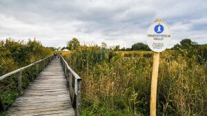 Sóstó, ahol a természet és a város összeér