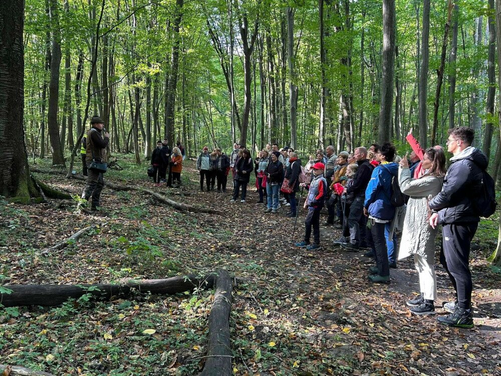 Szakvezetéses túra a Bükkben