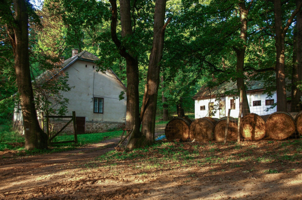 szallaskut-puszta-megmaradt-epueleteinek