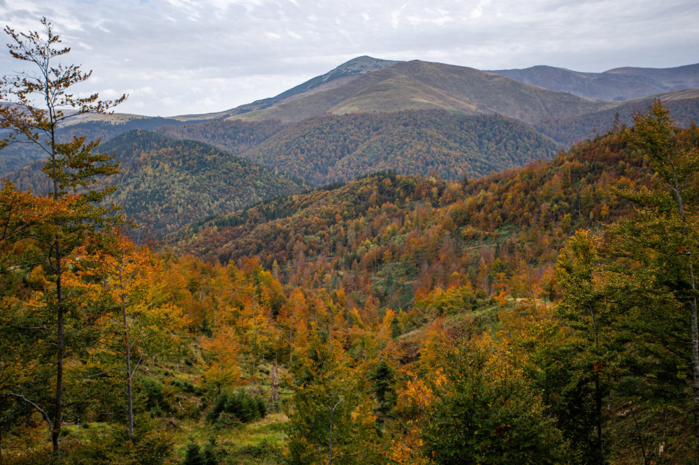 szárkő_2023.10-1