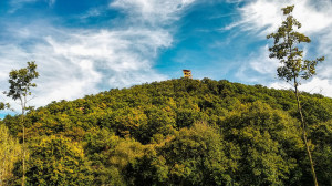 Szenzációs panorámában lehet részünk a Börzsöny legújabb kilátójából