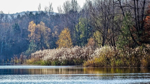 Szépséges bányasebek – Tóról tóra a Vértesben