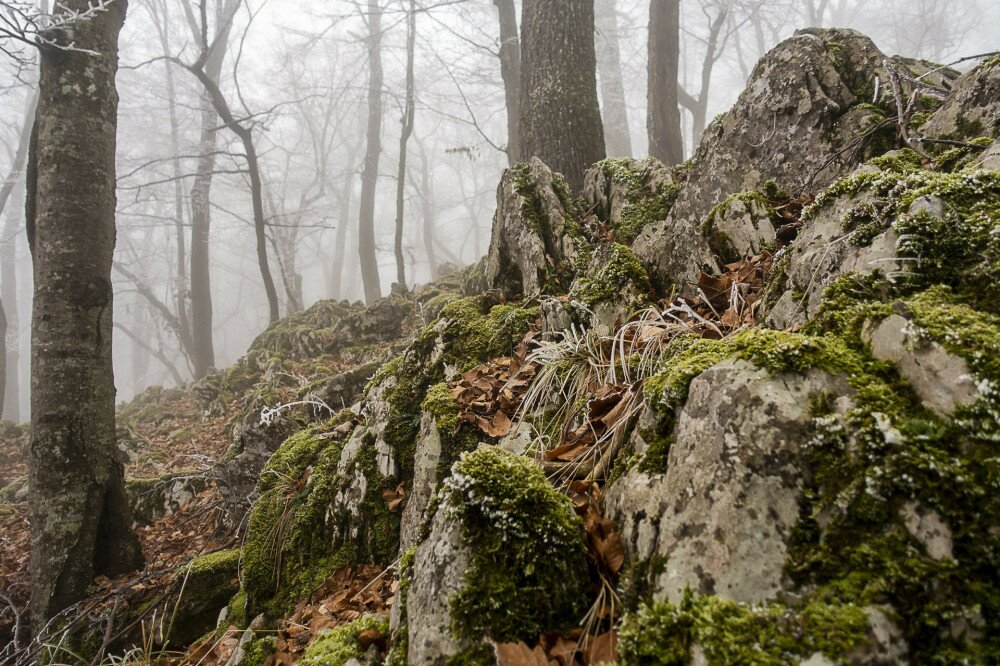 Sziklák a Cserepes-kőn a Bükkben