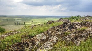 Sziklakincsek Pázmánd határában