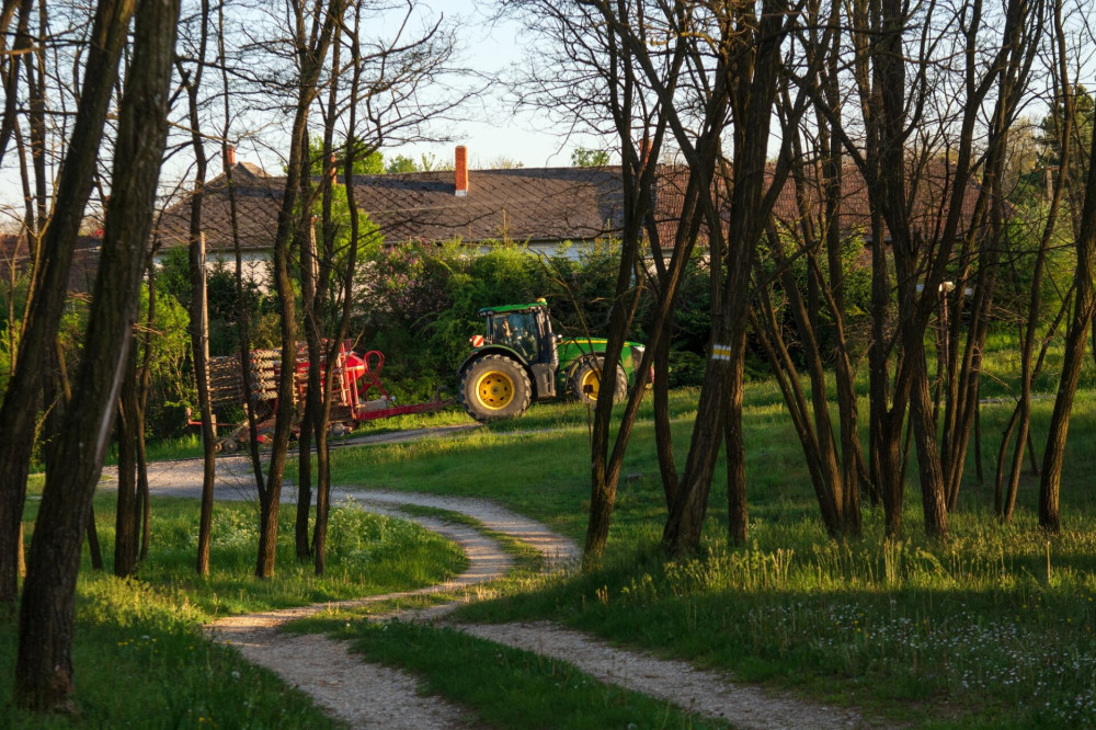 szocei-hangulat