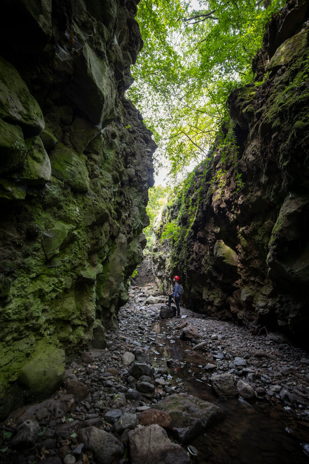 Tarjanka szurdok_20190725_FOTO_Francz Ilona_0071