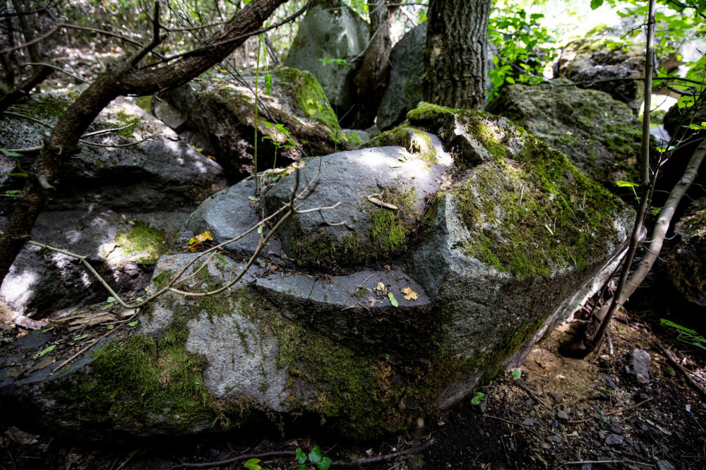 Tarjanka szurdok_20190725_FOTO_Francz Ilona_0072