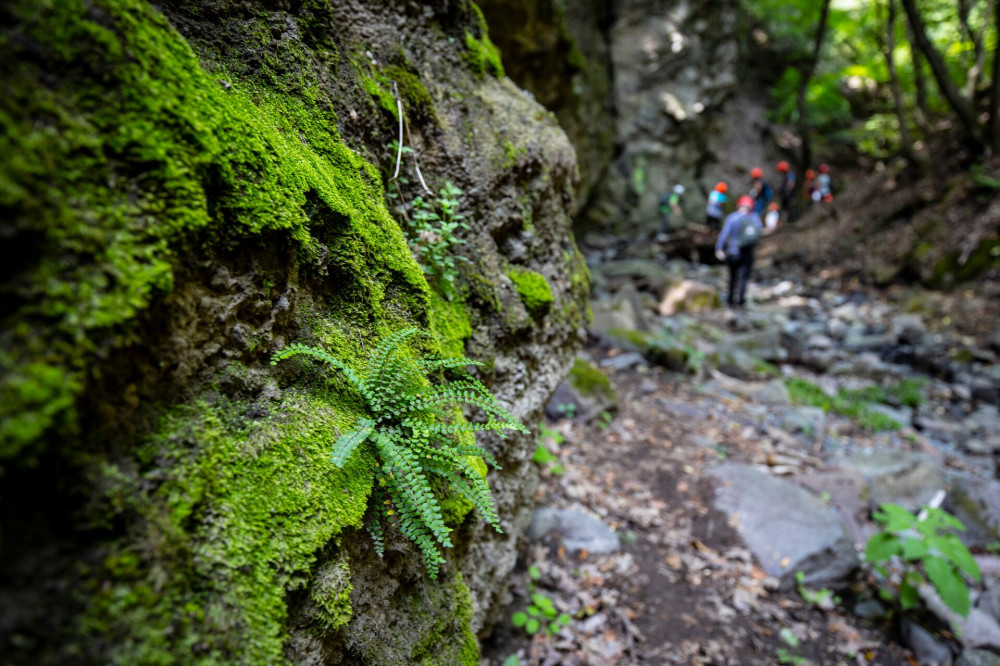 Tarjanka szurdok_20190725_FOTO_Francz Ilona_0078