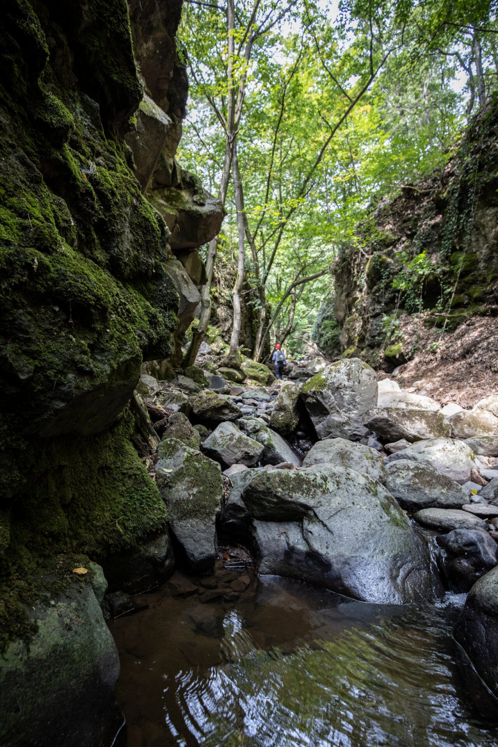 Tarjanka szurdok_20190725_FOTO_Francz Ilona_0083