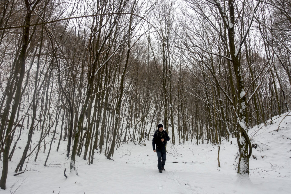 Télen is látványos felfedezést ígér a Szarvas-árok völgyszorosa