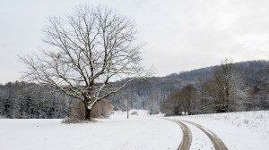 Téli túra a behavazott Orfűn