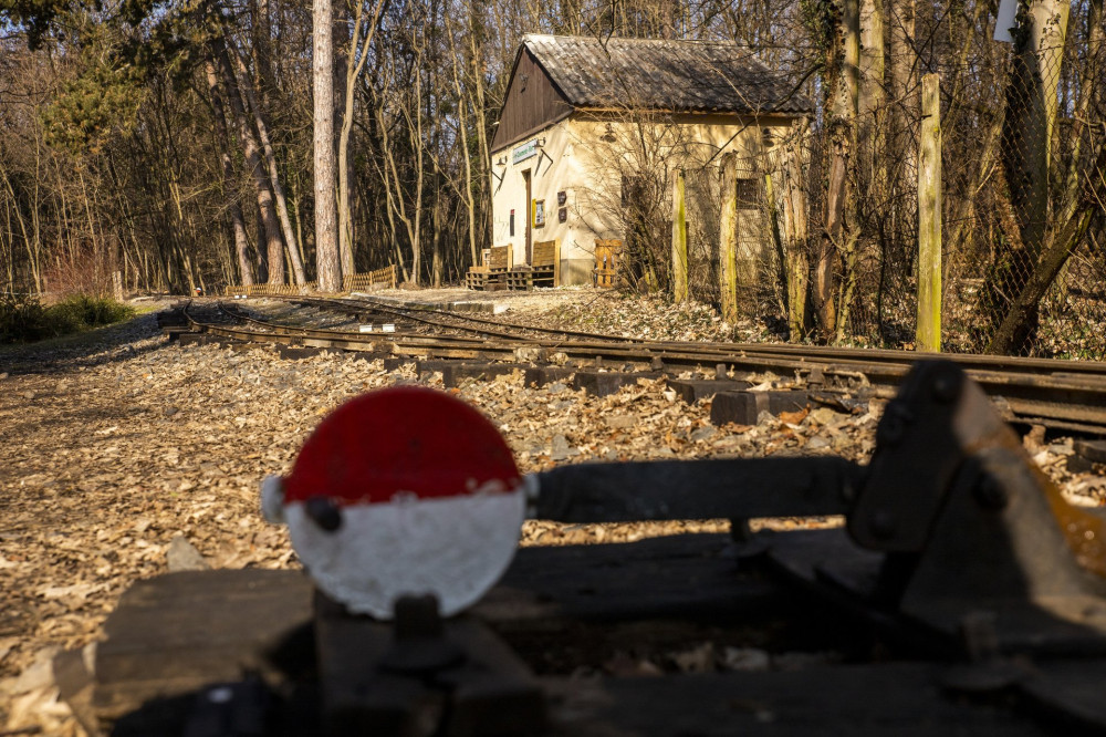 Tél végi séta a Gödöllői Erdészeti Arborétumban