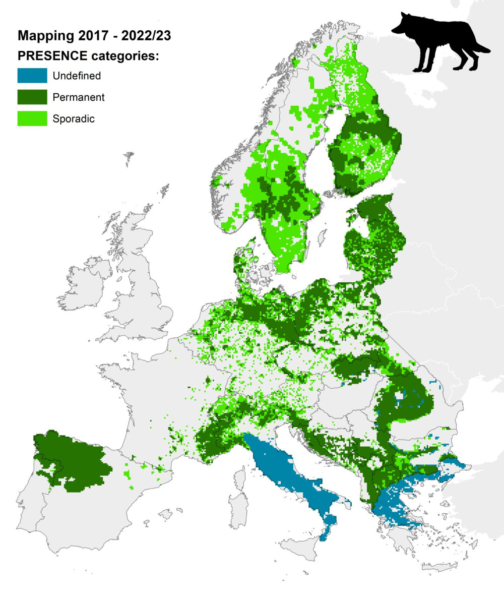 Térkép a farkasok elterjedéséről europa szerte