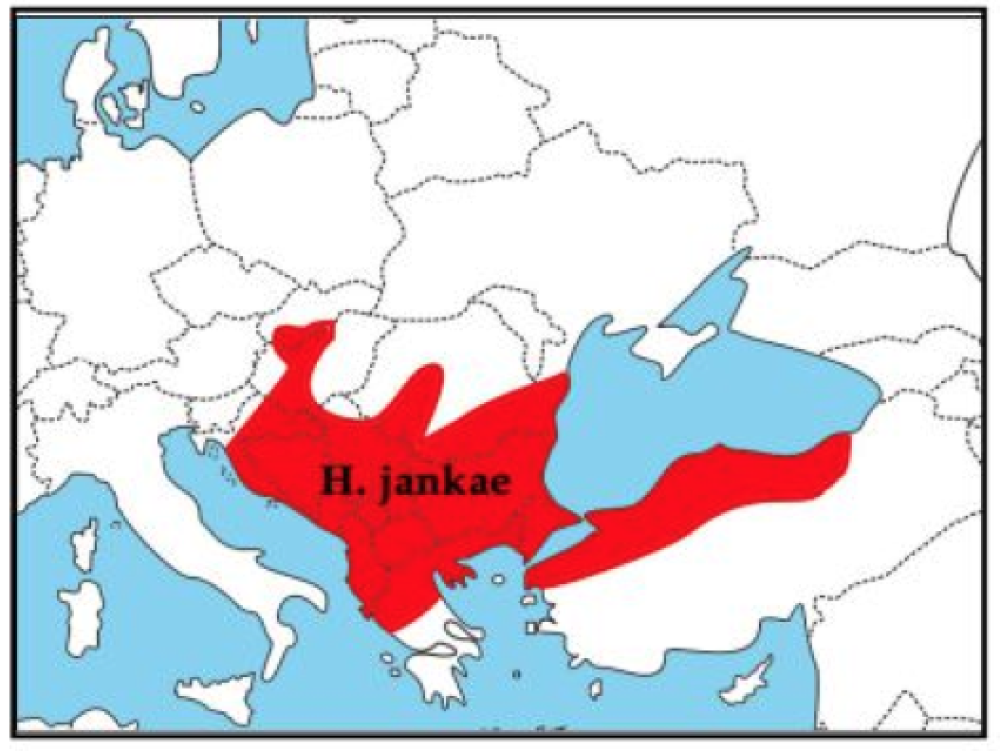 Térkép: mecsek.gportal.hu