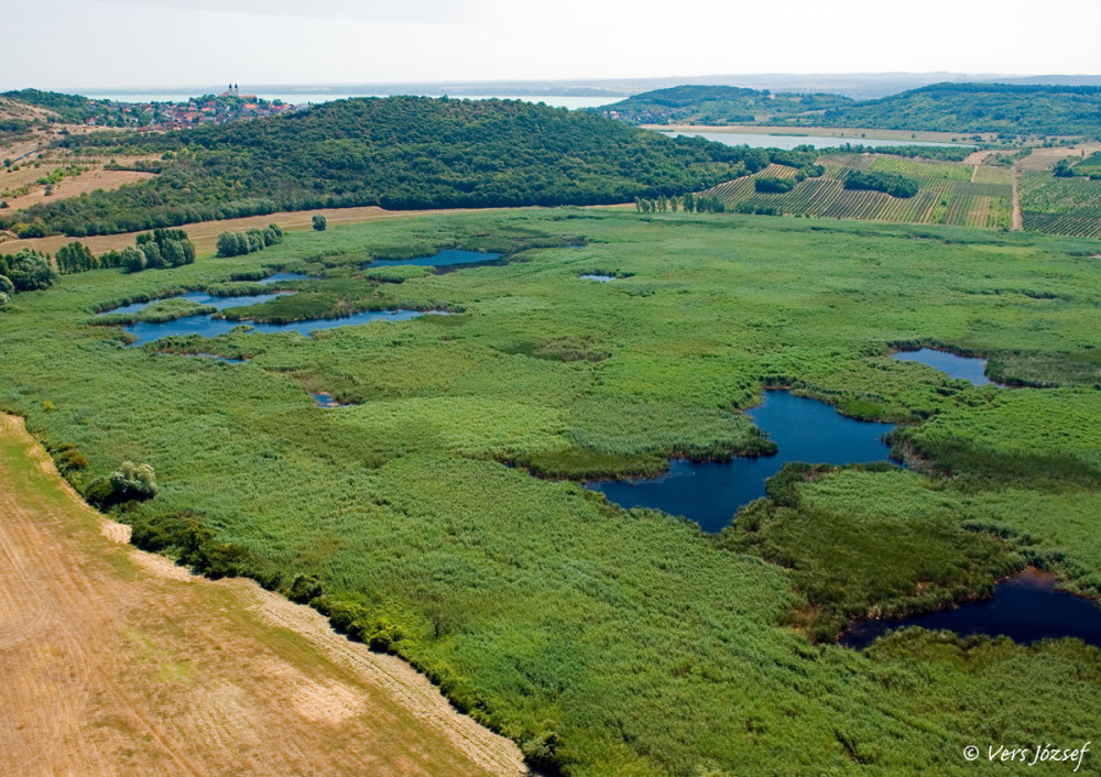 Tihany-tavai - a Külső-tó a Belső-tó és a Balaton (fotó: Vers József)