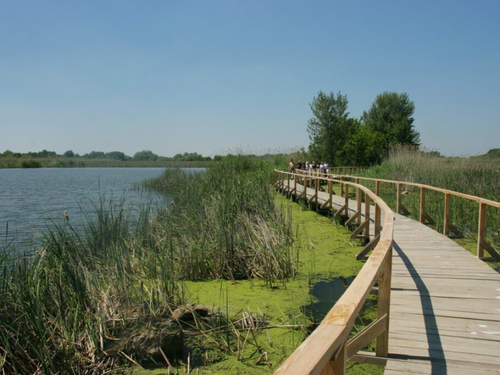 Tisza-tavi vizisétány_HNPI