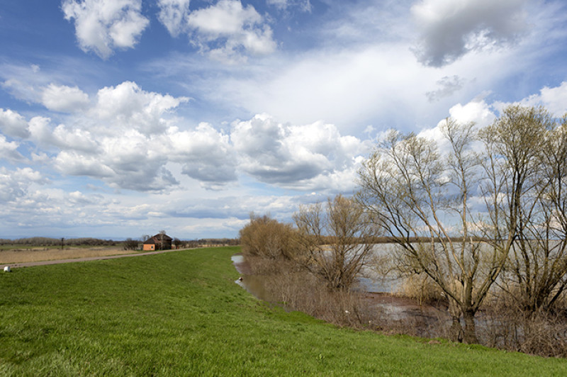 tisza-to-shutterstock.jpg