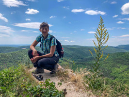 „Töltőn vagyok az erdőben”