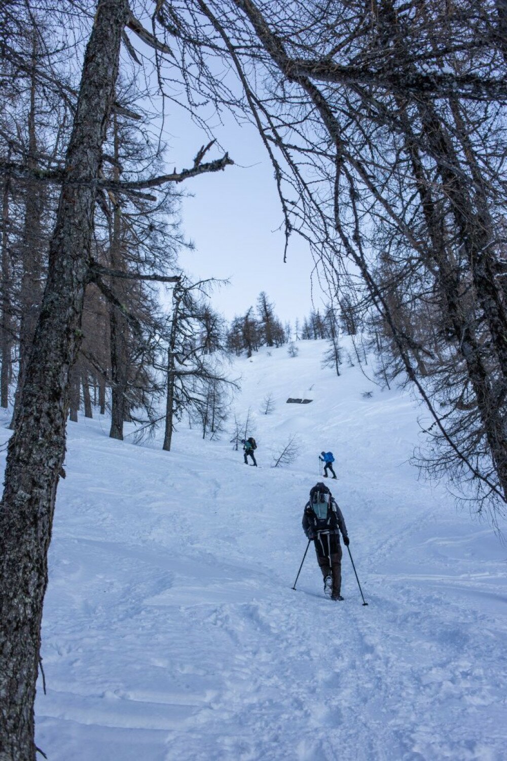 TotesGebirge_2024.01-36