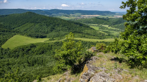 Tudod, mitől különleges a Bolhád?