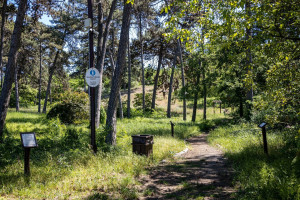 Tudtad, hogy miért különleges a csepeli Tamariska-domb?