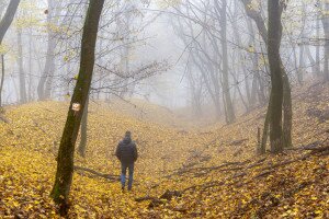 Tudtad, mi a Kárpát-medence leghatalmasabb építménye?