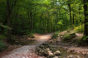 Túrák az őszi Cuha-völgy körül