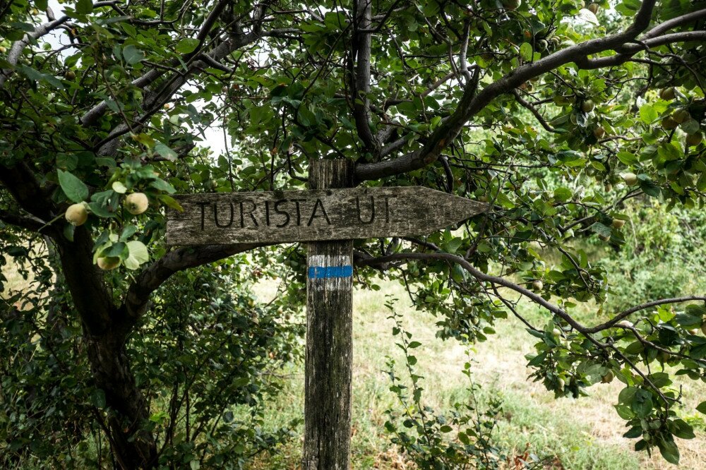 Turista út tábla kéktúra jelzéssel