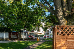 Újabb fát mérgeztek meg a csopaki strandon