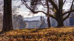 Újjászülető kastély és évszázados kastélypark Füzérradványban