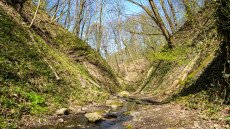 Vadregényes arborétum a visegrádi hegyek között