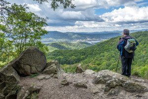 Vadregényes kilátással a Dunakanyarra