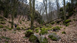 Vadregényes szurdokvölgyek a Bükkalján – 2. rész