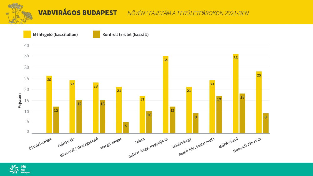 vadviragos_budapest_diagram