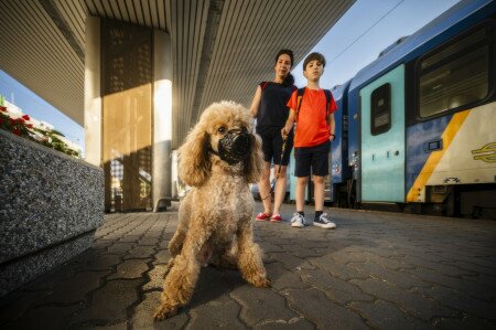 Változtak a szabályok: így utazhatsz a vonaton kutyával a Balatonra
