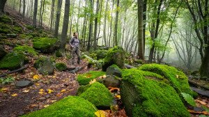 Varázslatos túra a mátrai „köderdőben”