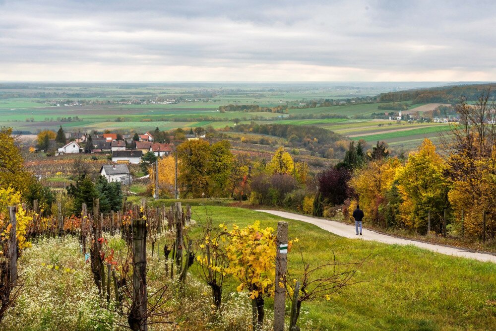 Vaskeresztesi-szolohegy-FOTO-Gulyas-Attila