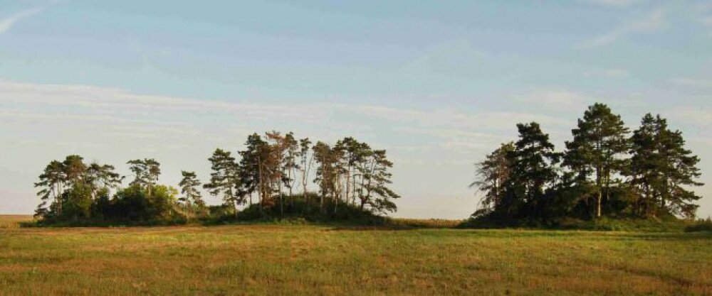 vask__t-kiskunsagi-nemzeti-park.jpg