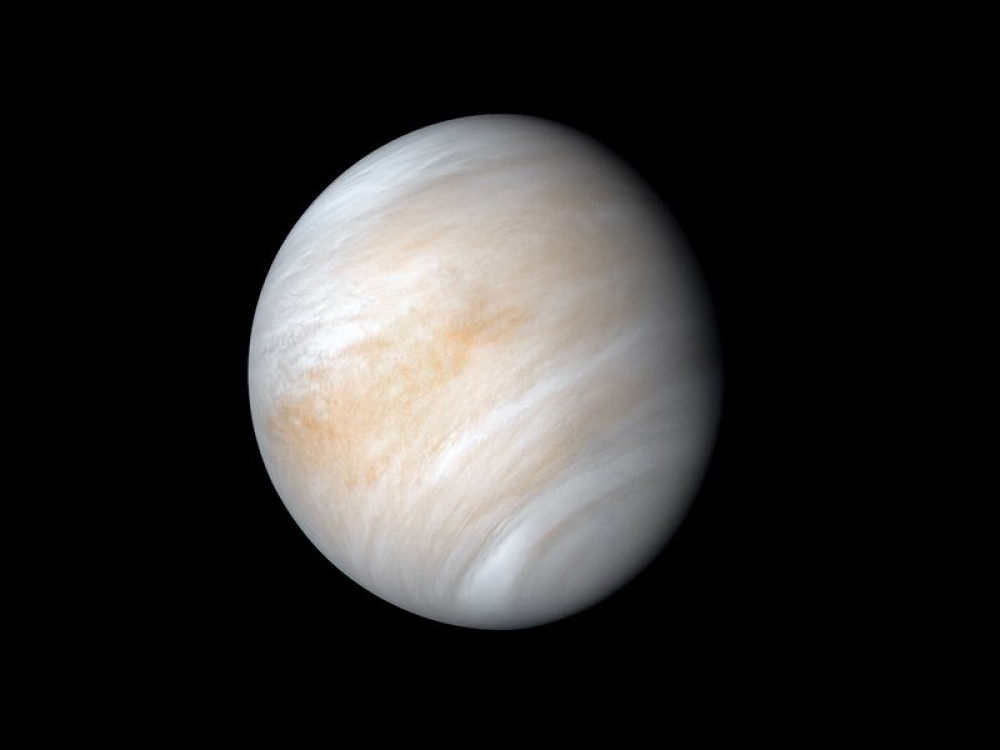 Venus-800x600