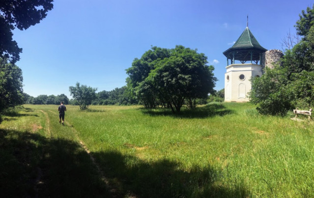 Vérkör a kánikulában