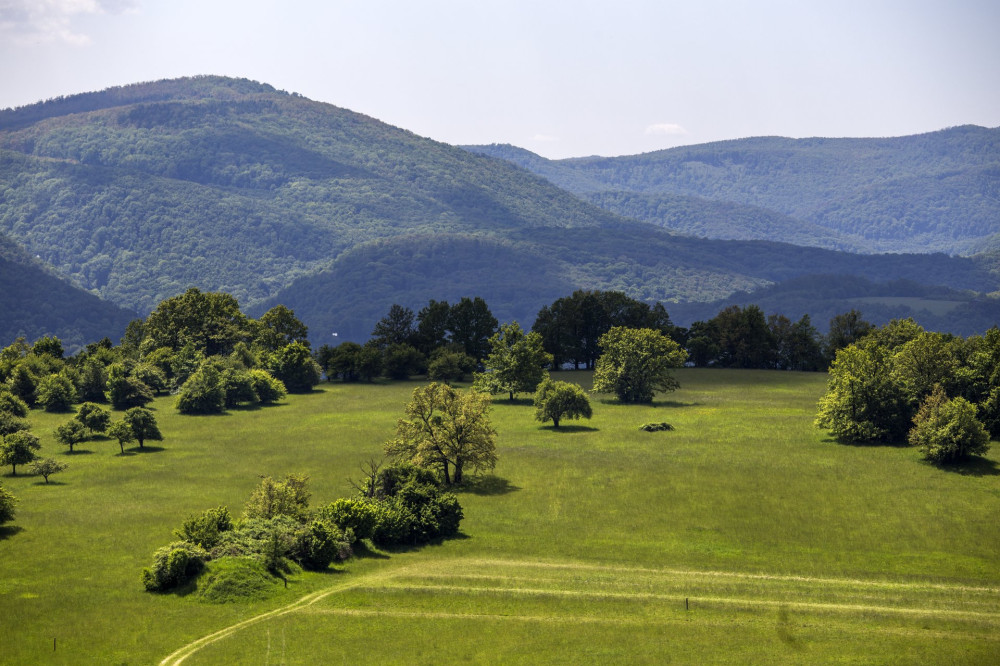 Visegradi-hegyseg-Nagyvillamrol-FOTO-Gulyas-Attila