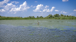 Víztározóból madárparadicsom - a Tisza-tó