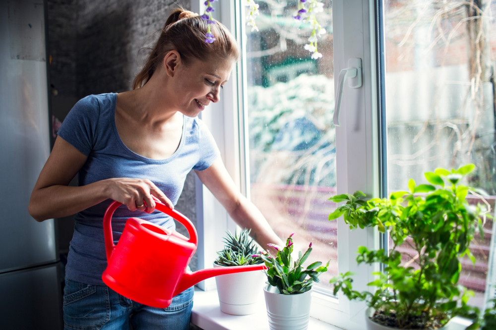 woman watering flowers at home on window