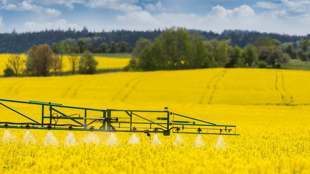 Working spraying machine in yellow canola land. Spring landscape. Chemical fertilizers, toxic pesticides, insecticides. Ecology