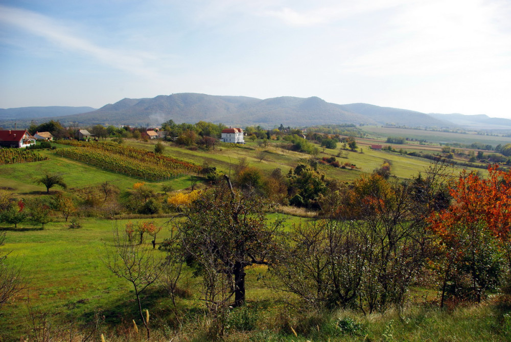 Zalaszántó - Szőlőhegy (fotó: Sinka Gábor)