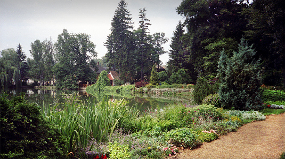 zirci-arboretum.jpg