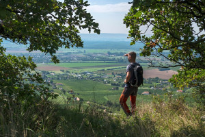 Zöldben pompázó erdők, elképesztő panorámák – Hétvégi programajánló